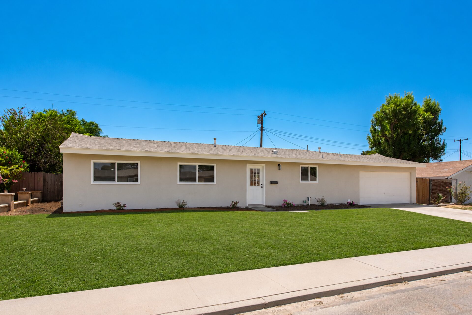Backyard, a blank canvas of a lot